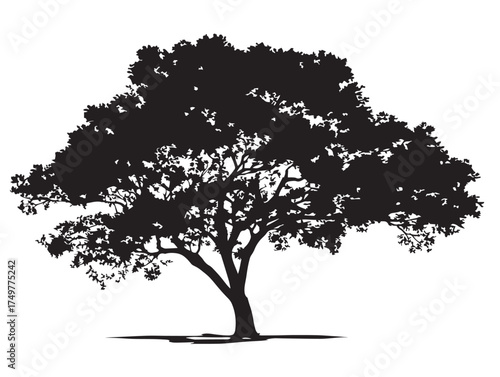 Detailed Echoes of Time Tree Illustration with Soft 2D Vector Line Art