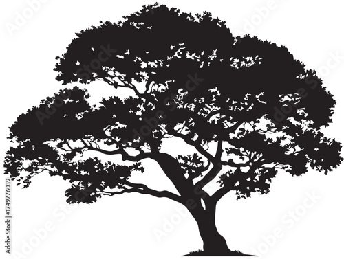 Classic Endurance Tree Silhouette Illustration in Black and White 2D Vector Line Art