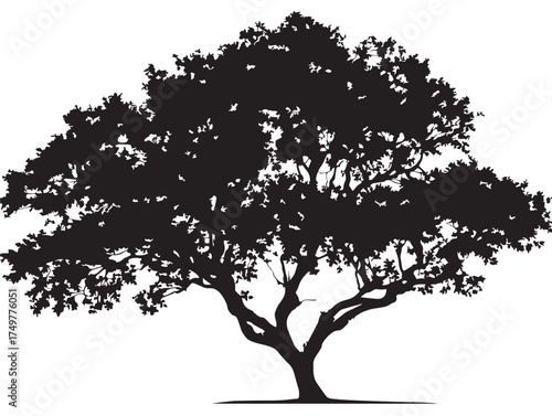 Detailed Equinox Tree Silhouette Artwork in Black and White 2D Vector Line Art
