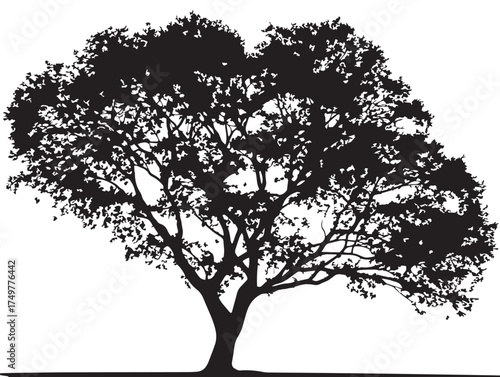 Elegant Heartwood Tree Silhouette Artwork in Black and White 2D Vector Line Art