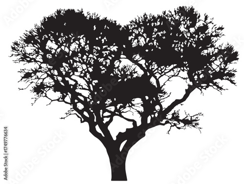 Artistic Heartwood Tree Silhouette Depicted in Fine 2D Vector Line Art