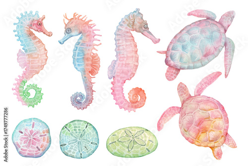 Sea horse, turtle and Sand dollar hand drawn watercolor isolated on white background