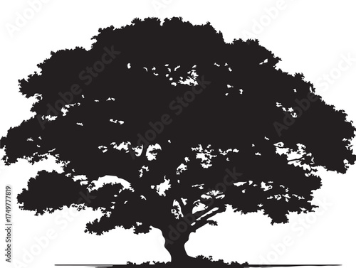 Billede på lærred Abstract Nadir Tree Design Depicted in Stylish 2D Vector Line Art