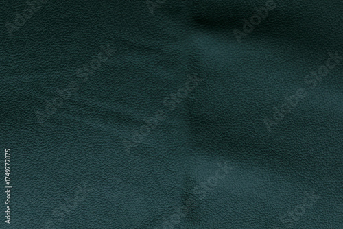 Close-up of dark green leat...