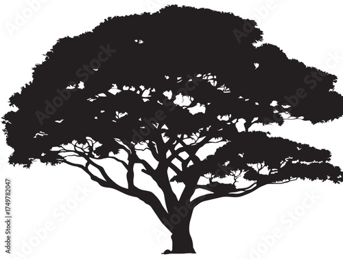 Majestic Colossus Tree Silhouette in Elegant 2D Vector Line Art