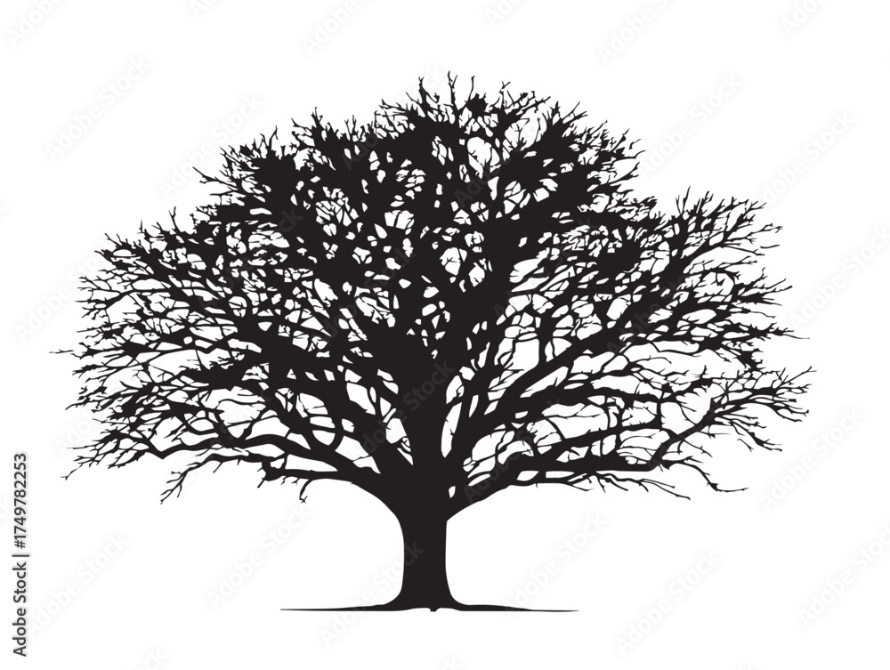Obraz premium Beautiful Crossroads Tree Illustration in Minimalist 2D Vector Line Art