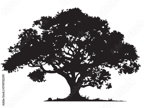 Artistic Colossus Tree Illustration Depicting Strength in 2D Vector Line Art