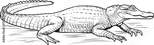 black and white vector line drawing of an alligator on the side, simple lines, no shading, coloring page style, no shadows, minimalistic, simple