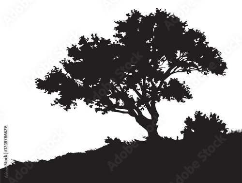 Majestic Hilltop Sentinel Tree Illustration Symbolizing Watchfulness in 2D Vector Line Art