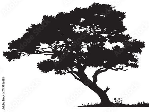 Elegant Hilltop Sentinel Tree Artwork with Graceful Branches in 2D Vector Line Art