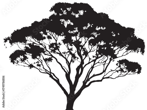 Majestic Ironbark Tree Illustration Depicting Strength in 2D Vector Line Art