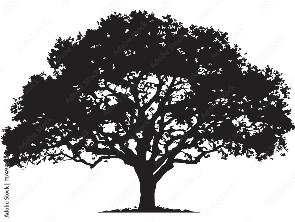 Fototapeta premium Elegant Lifeline Tree 2D Vector Line Art Illustration