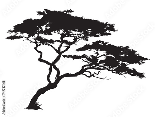 Majestic Lone Sentinel Tree 2D Vector Line Art Illustration