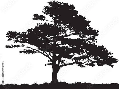 Lone Sentinel Tree Silhouette 2D Vector Line Art Design