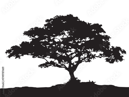Lone Tree Silhouette 2D Vector Line Art Illustration