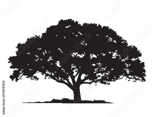 Nature Inspired Lone Tree 2D Vector Line Artwork