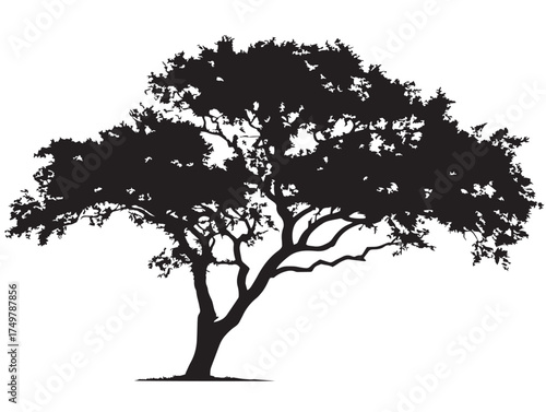 Detailed Lone Tree Silhouette 2D Vector Line Art Graphic