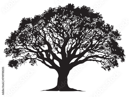 Ancient Matriarch Tree 2D Vector Line Art Illustration