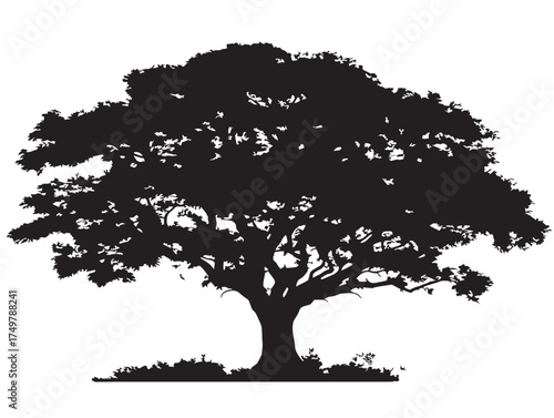 Elegant Matriarch Tree 2D Vector Line Artwork