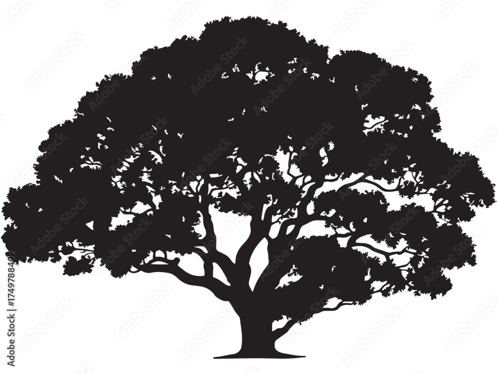 Fototapeta premium Detailed Matriarch Tree 2D Vector Line Art Graphic
