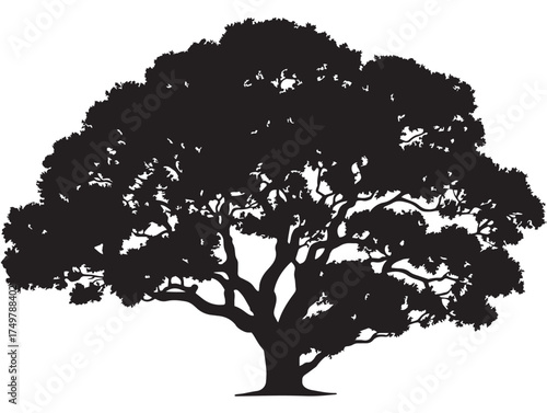 Detailed Matriarch Tree 2D Vector Line Art Graphic