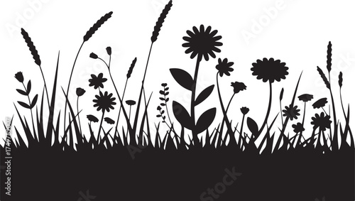 Silhouette Grassland Scenery Vector Illustration with Wild Plants, Herbs and Flowers for Natural Environment and Countryside Landscapes
