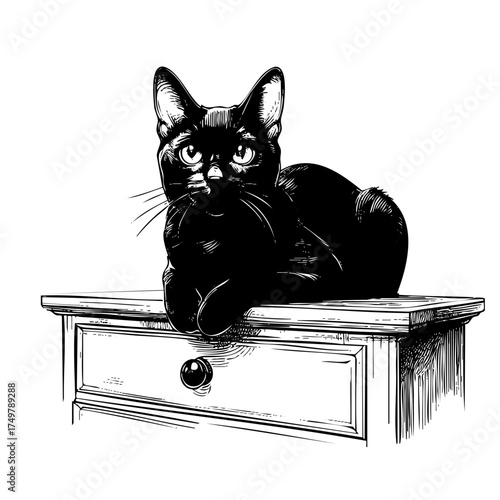 Black cat is sitting on top of a dresser. The cat is looking at the camera with a curious expression