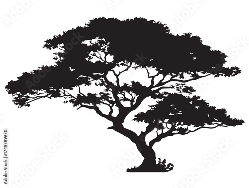 Ancient Forest Tree Silhouette 2D Vector Line Artwork