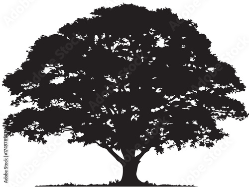 Patriarch Tree Silhouette 2D Vector Line Art Illustration