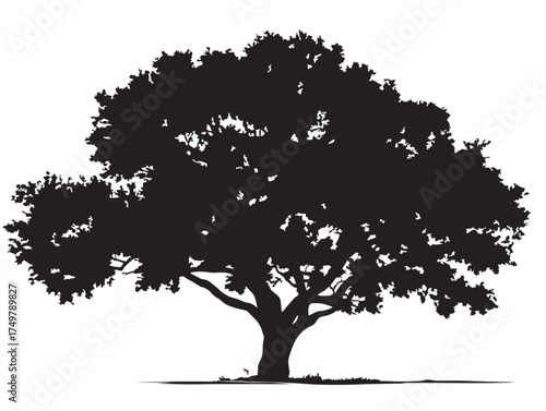 Grand Patriarch Tree 2D Vector Line Art Design