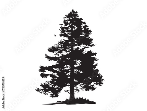 Giant Sequoia Tree Silhouette 2D Vector Line Artwork