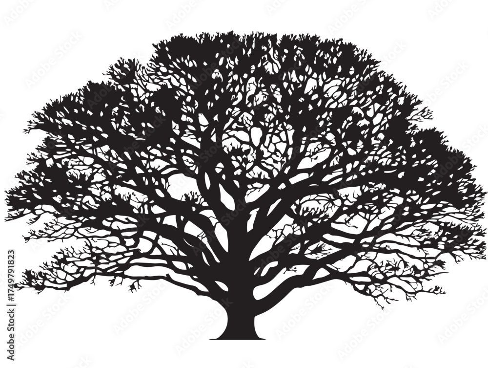 Obraz premium Silent Growth Tree Silhouette 2D Vector Line Artwork