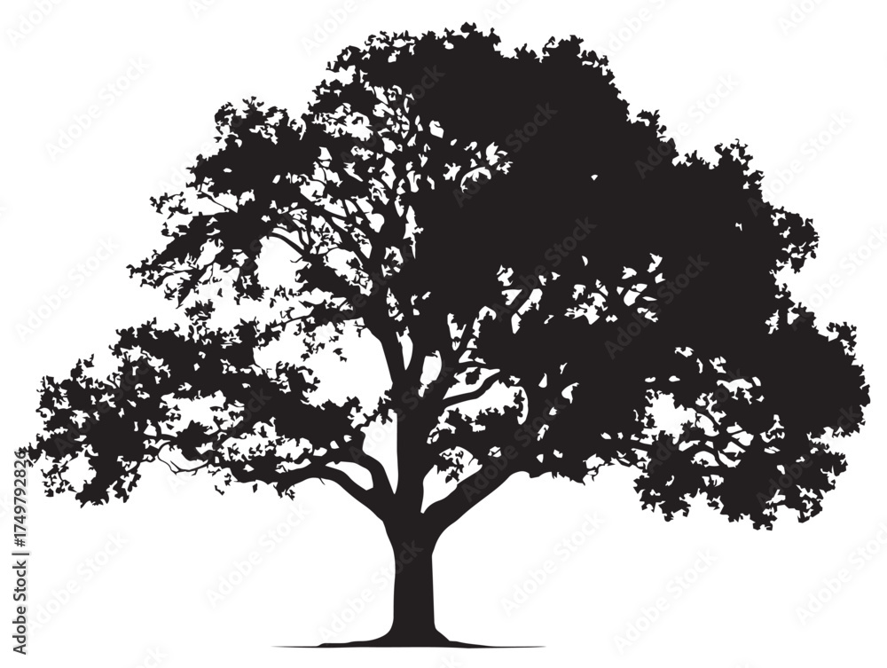 Obraz premium Split Trunk Tree Silhouette 2D Vector Line Art Illustration