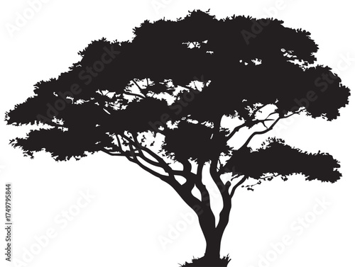 Strongwood Tree Silhouette 2D Vector Line Art Illustration