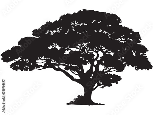 Durable Strongwood Tree 2D Vector Line Art Design