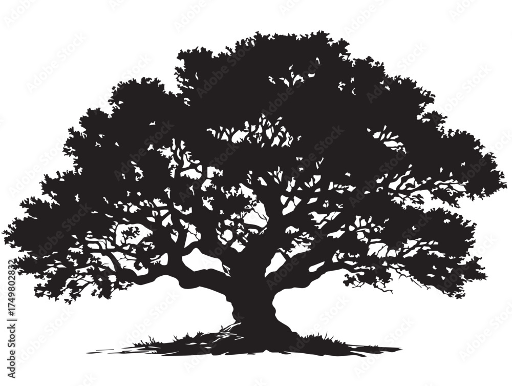 Fototapeta premium Mysterious Watcher Tree Artwork in Refined 2D Vector Line Art Style