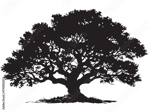 Mysterious Watcher Tree Artwork in Refined 2D Vector Line Art Style  