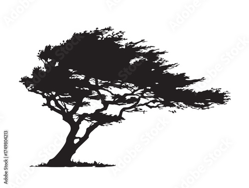 Konstfotografi The Windswept Tree Silhouette in Dynamic 2D Vector Line Art Style