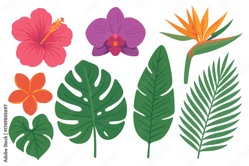 Obraz premium Vibrant exotic tropical flowers set including hibiscus, orchid, and bird of paradise with lush green foliage