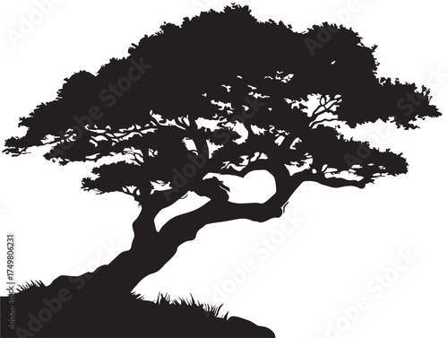 Minimal Zenith Tree Silhouette 2D Vector Line Art Artwork  