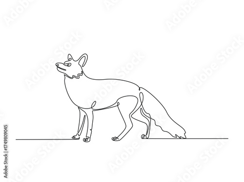 Red fox animal in single outline illustration. Continuous line art drawing of red fox animal. Editable stroke.