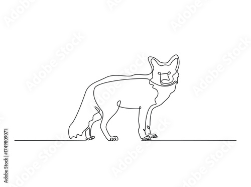 Red fox animal in single outline illustration. Continuous line art drawing of red fox animal. Editable stroke.
