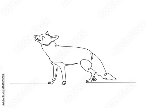 Red fox animal in single outline illustration. Continuous line art drawing of red fox animal. Editable stroke.