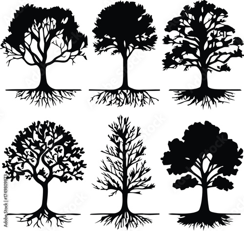 tree, silhouette, roots, nature, plant, deciduous, evergreen, organic, growth, life, symbol, design element, graphic, illustration, black and white, isolated, white background, branch, trunk, foliage,