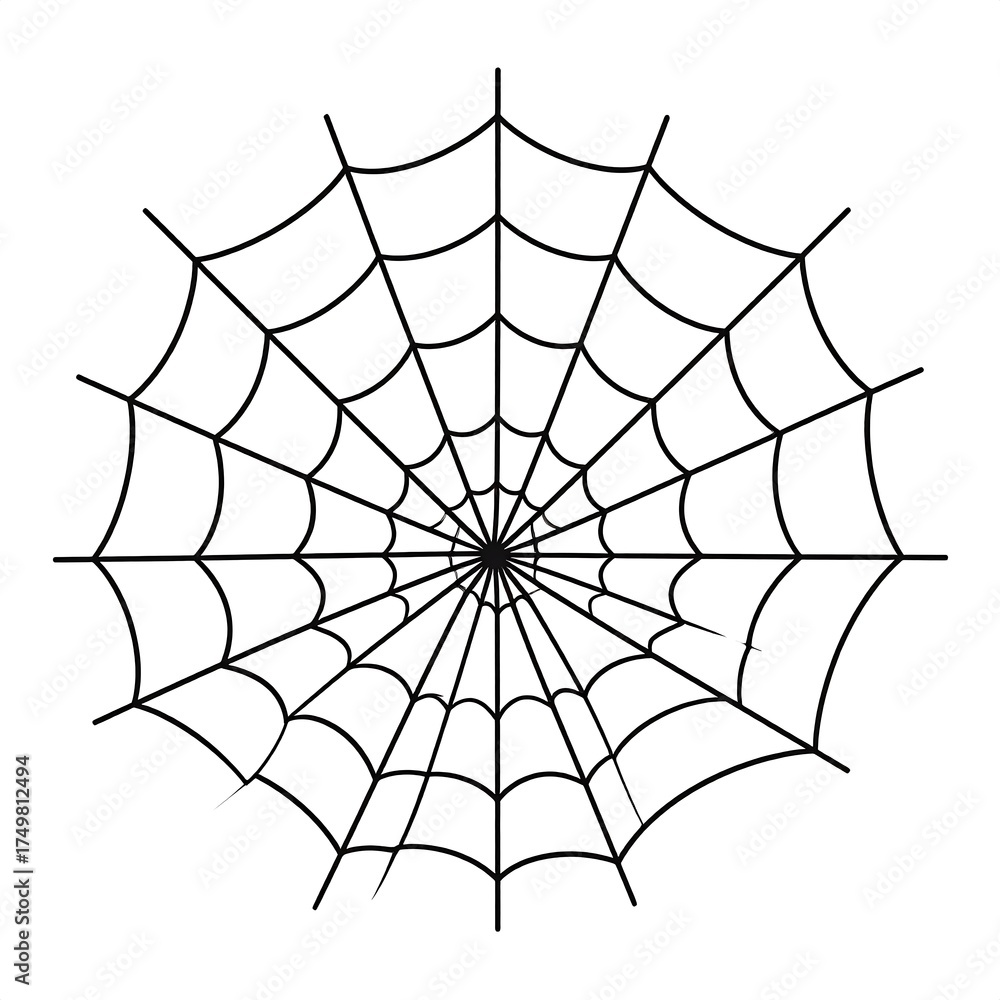 Obraz premium Circular spider web graphic