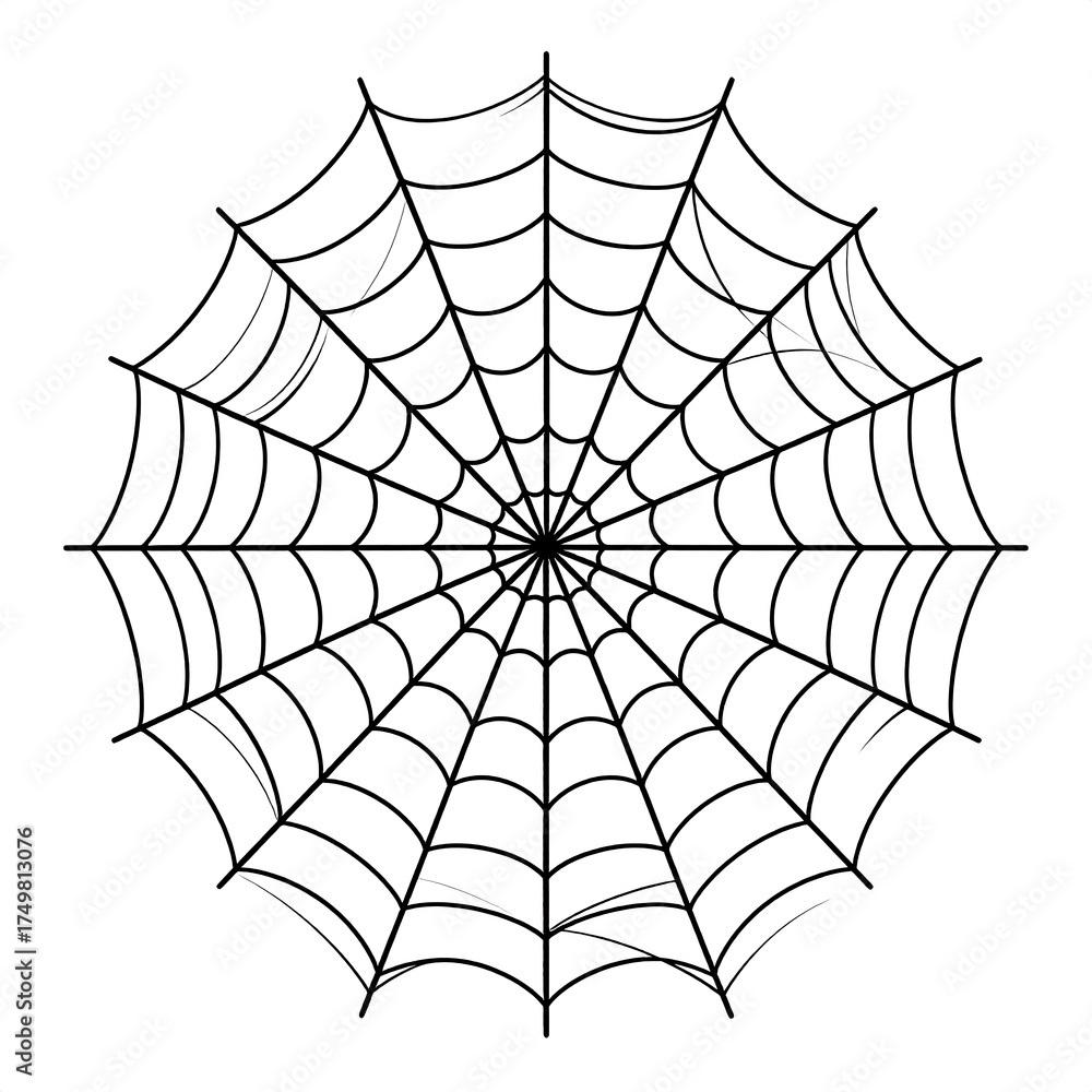 Obraz premium Circular spider web