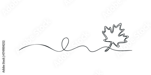 Single Line Drawing of Maple Leaf on White Background