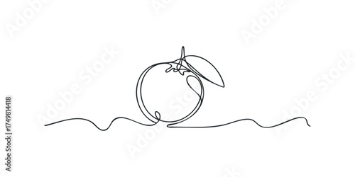 Minimalist single line drawing of an orange fruit with stem and leaf