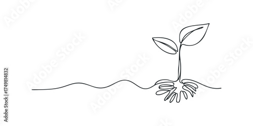 Single Line Drawing of a Seedling with Roots Growing