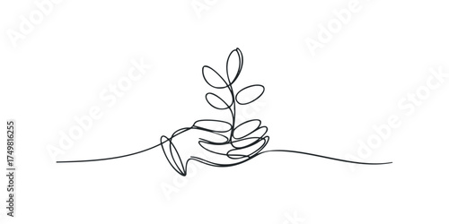 Hand holding a small plant sprout with leaves